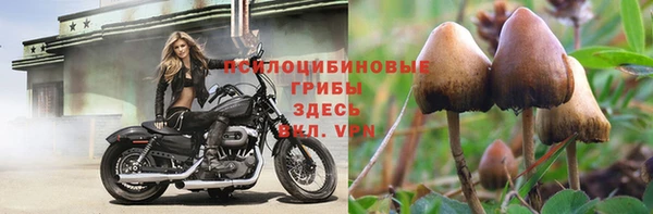 ешки Нязепетровск