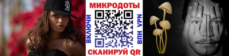 Галлюциногенные грибы Psilocybine cubensis  Унеча 