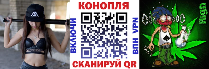 Каннабис SATIVA & INDICA shop Telegram Унеча